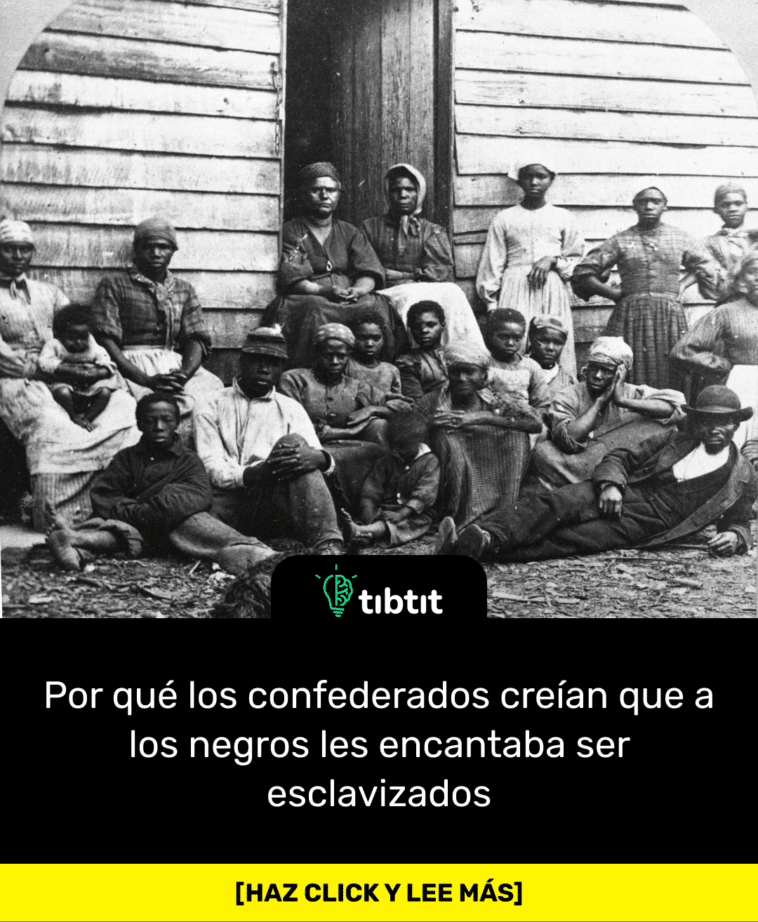 Por qué los confederados creían que a los negros les encantaba ser esclavizados