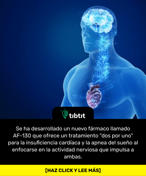 Se ha desarrollado un nuevo fármaco llamado AF-130 que ofrece un tratamiento "dos por uno" para la insuficiencia cardíaca y la apnea del sueño al enfocarse en la actividad nerviosa que impulsa a ambas.