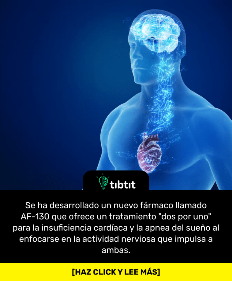 Se ha desarrollado un nuevo fármaco llamado AF-130 que ofrece un tratamiento "dos por uno" para la insuficiencia cardíaca y la apnea del sueño al enfocarse en la actividad nerviosa que impulsa a ambas.