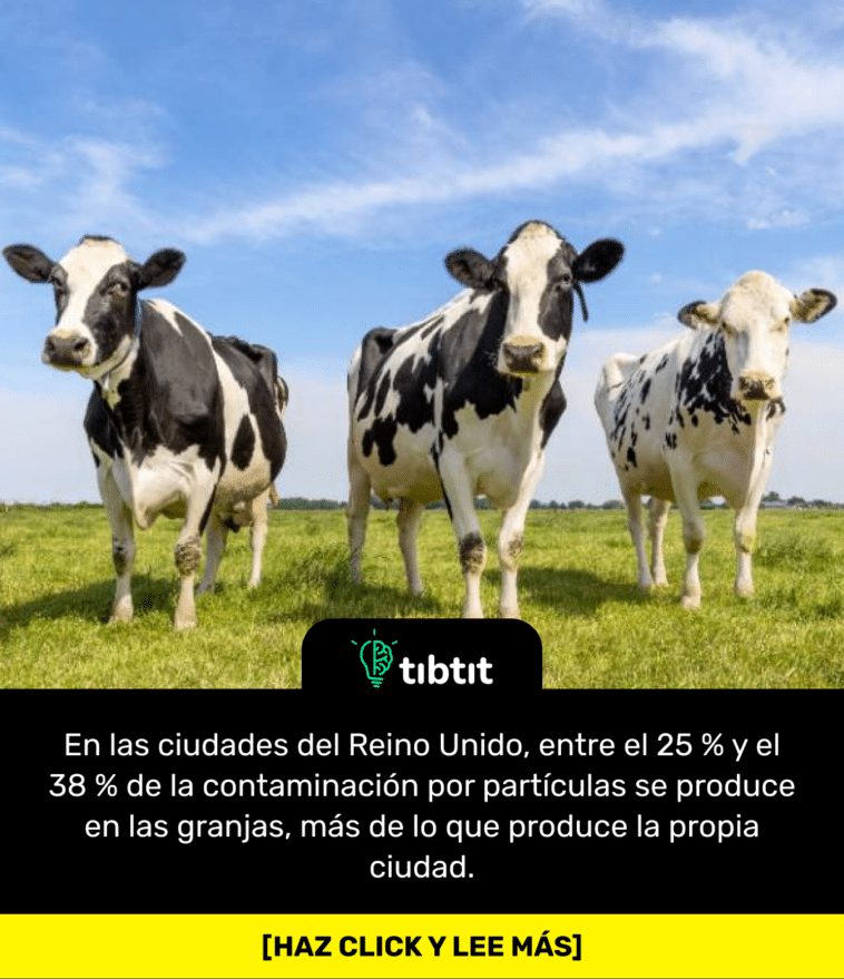 En las ciudades del Reino Unido, entre el 25 % y el 38 % de la contaminación por partículas se produce en las granjas, más de lo que produce la propia ciudad.