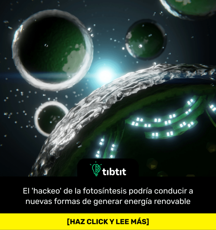 El 'hackeo' de la fotosíntesis podría conducir a nuevas formas de generar energía renovable