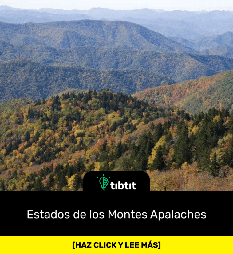 Estados de los Montes Apalaches