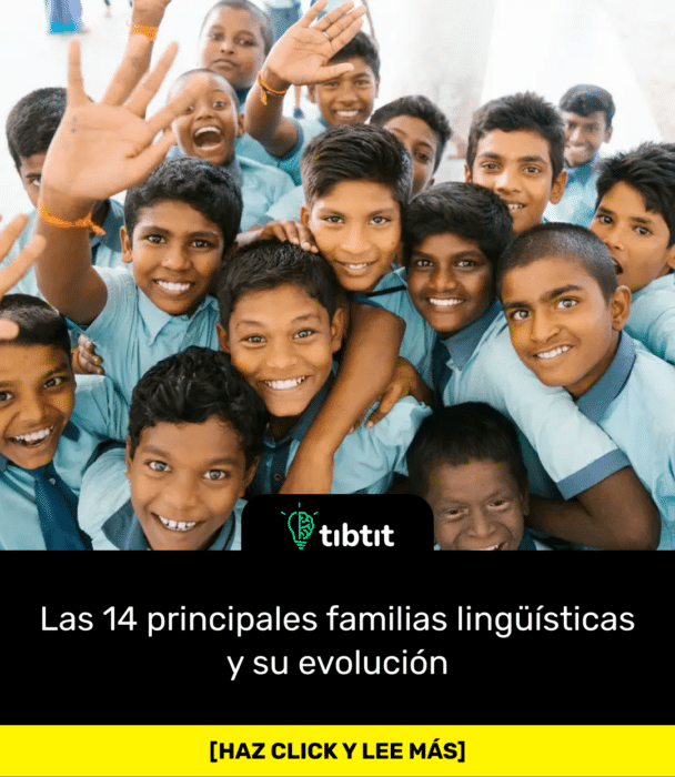Las 14 principales familias lingüísticas y su evolución