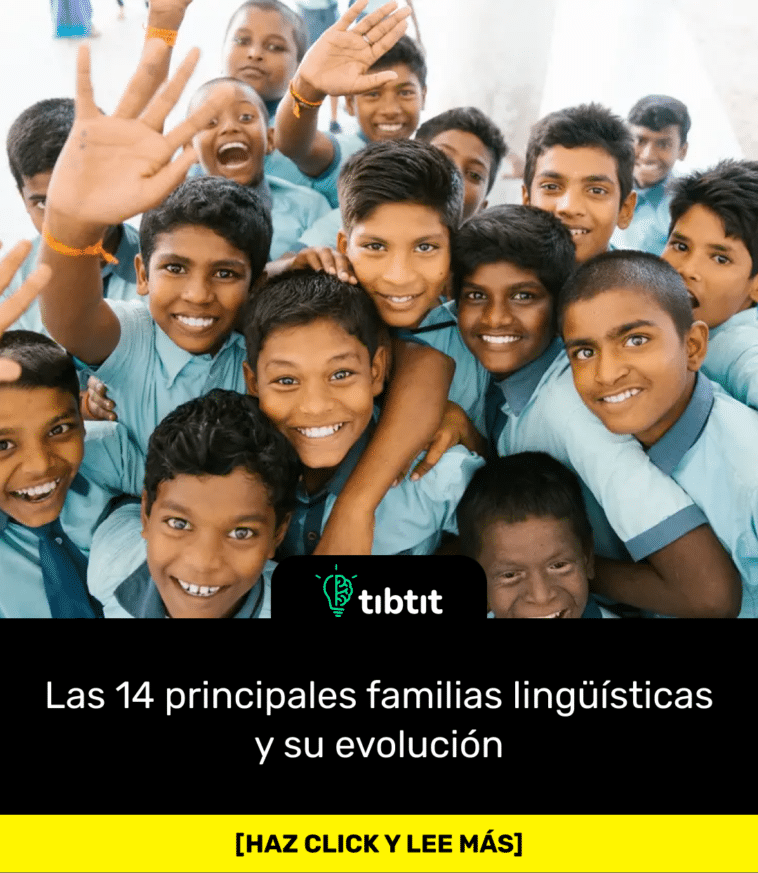 Las 14 principales familias lingüísticas y su evolución