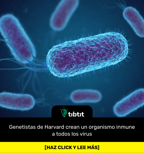 Genetistas de Harvard crean un organismo inmune a todos los virus