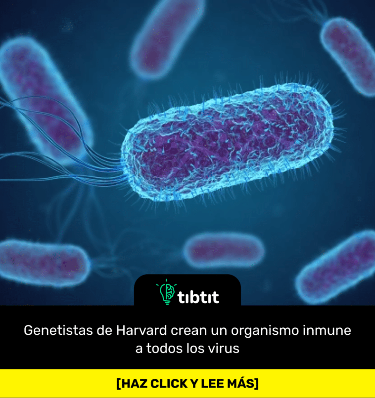 Genetistas de Harvard crean un organismo inmune a todos los virus