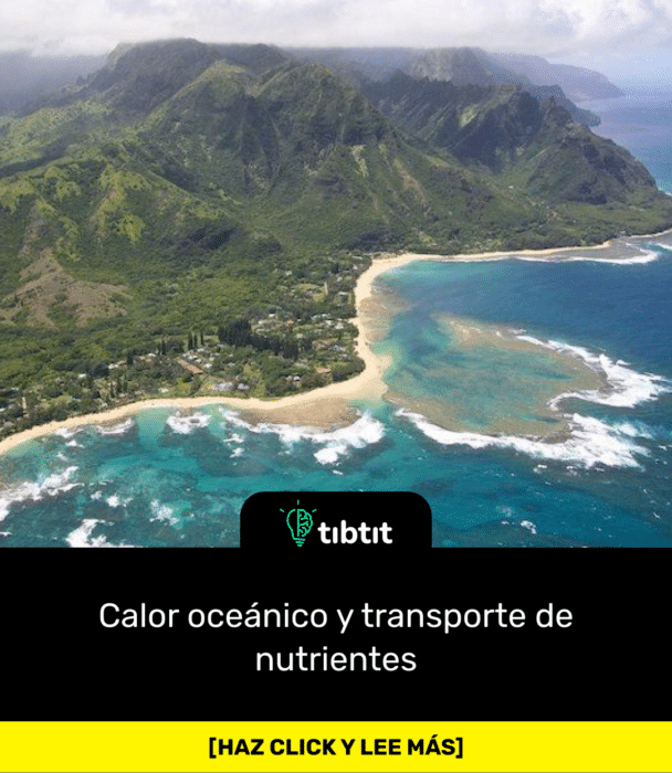 Calor oceánico y transporte de nutrientes