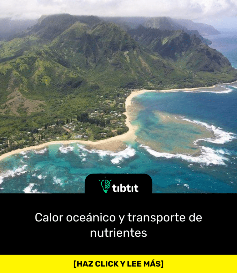 Calor oceánico y transporte de nutrientes