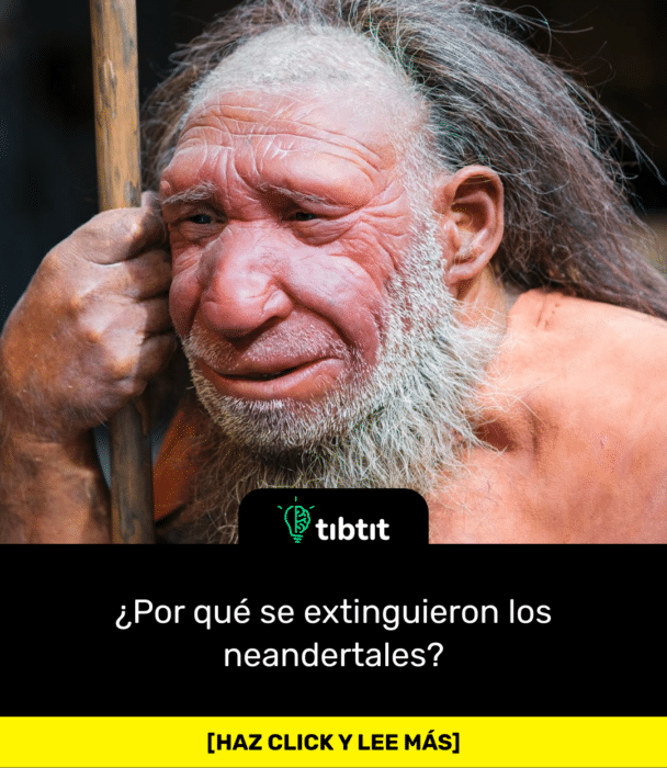 ¿Por qué se extinguieron los neandertales?