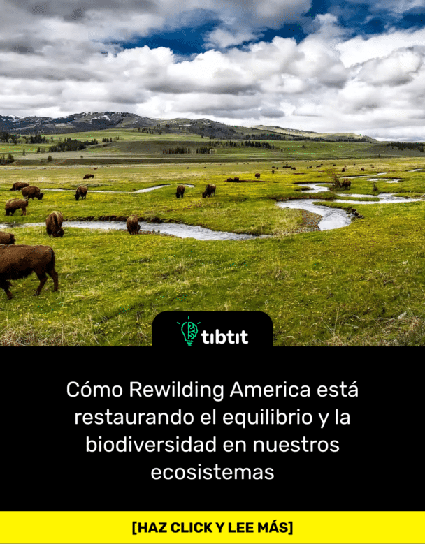 Cómo Rewilding America está restaurando el equilibrio y la biodiversidad en nuestros ecosistemas