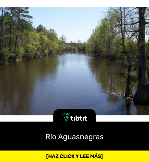 Río Aguasnegras