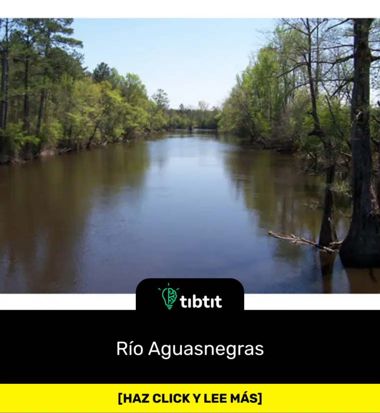 Río Aguasnegras