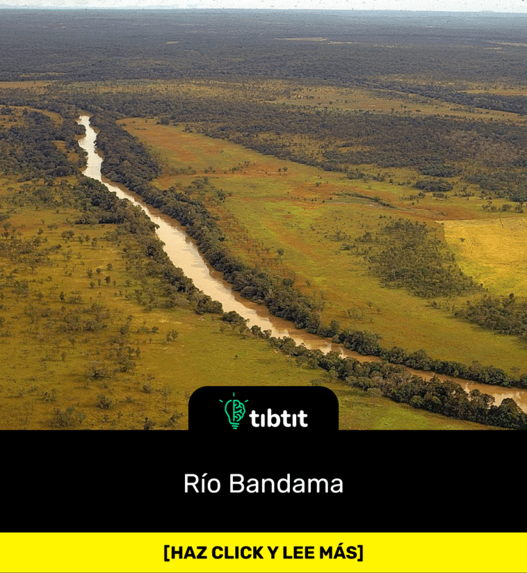 Río Bandama