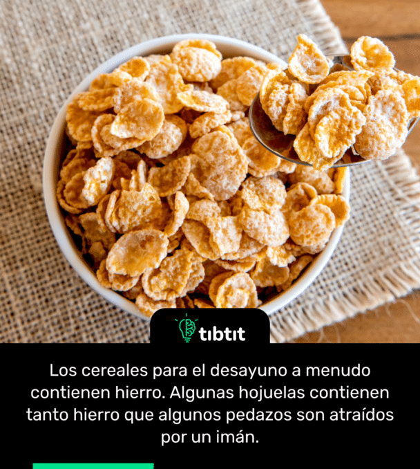 Los cereales para el desayuno a menudo contienen hierro. Algunas hojuelas contienen tanto hierro que algunos pedazos son atraídos por un imán.