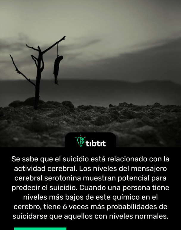 Se sabe que el suicidio está relacionado con la actividad cerebral. Los niveles del mensajero cerebral serotonina muestran potencial para predecir el suicidio. Cuando una persona tiene niveles más bajos de este químico en el cerebro, tiene 6 veces más probabilidades de suicidarse que aquellos con niveles normales.