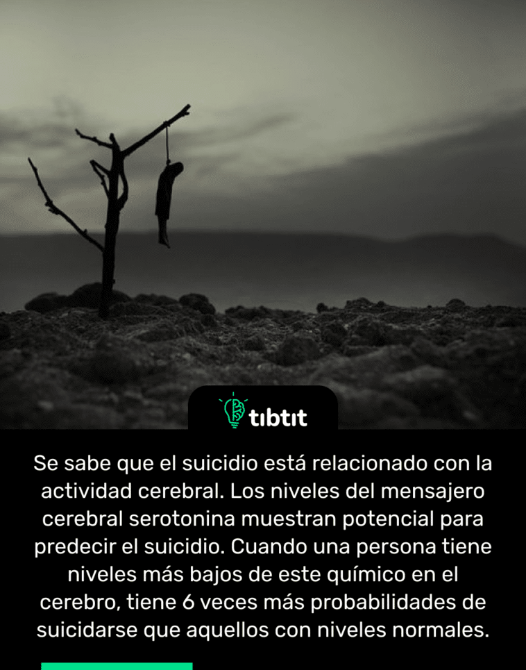 Se sabe que el suicidio está relacionado con la actividad cerebral. Los niveles del mensajero cerebral serotonina muestran potencial para predecir el suicidio. Cuando una persona tiene niveles más bajos de este químico en el cerebro, tiene 6 veces más probabilidades de suicidarse que aquellos con niveles normales.