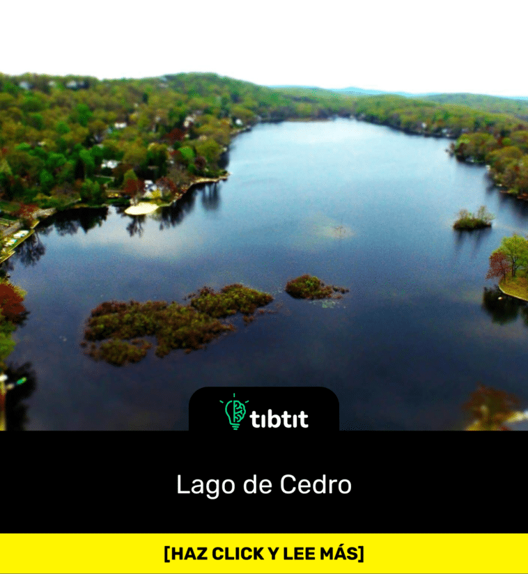 Lago de Cedro