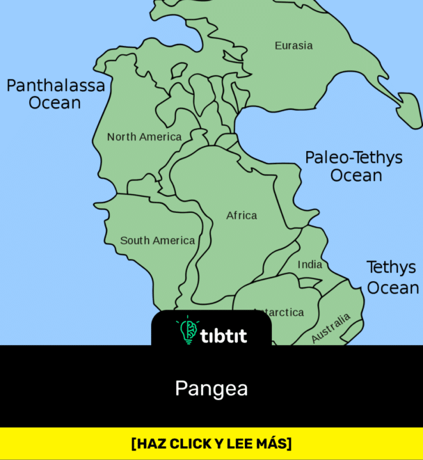 Pangea