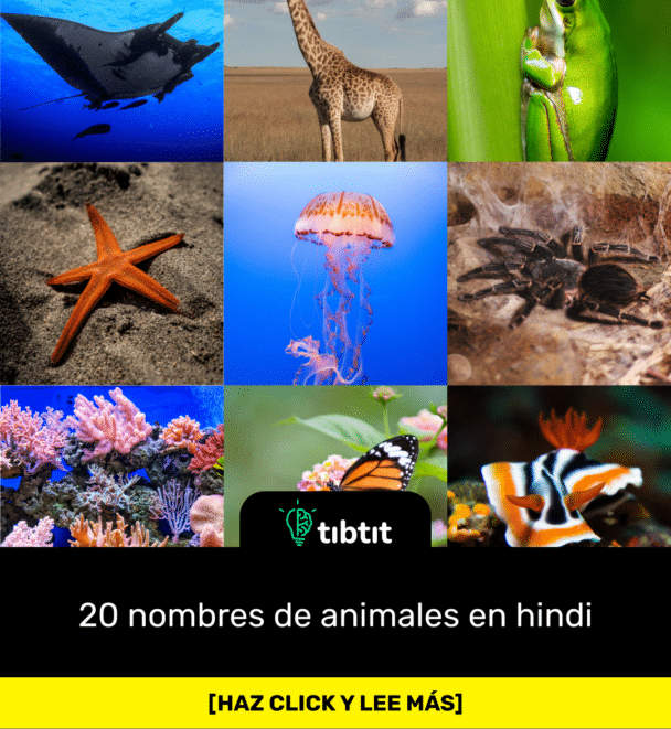 20 nombres de animales en hindi