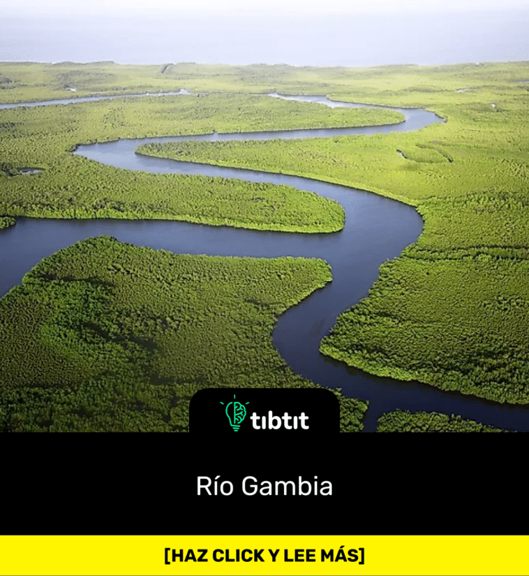 Río Gambia