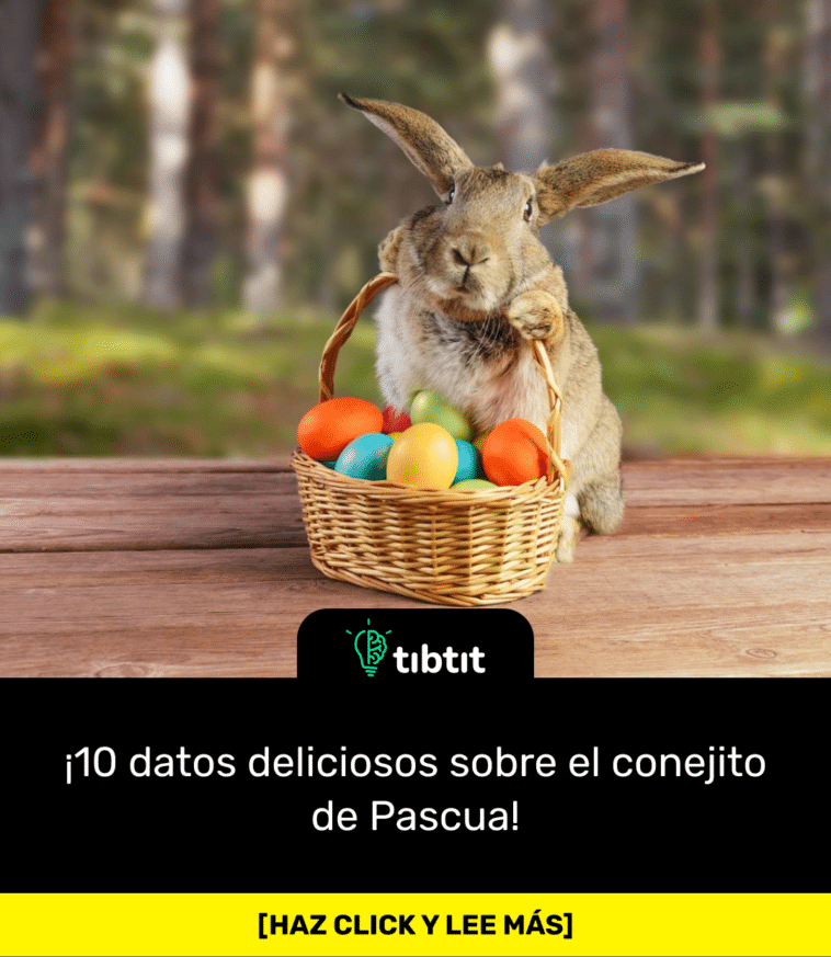 ¡10 datos deliciosos sobre el conejito de Pascua!
