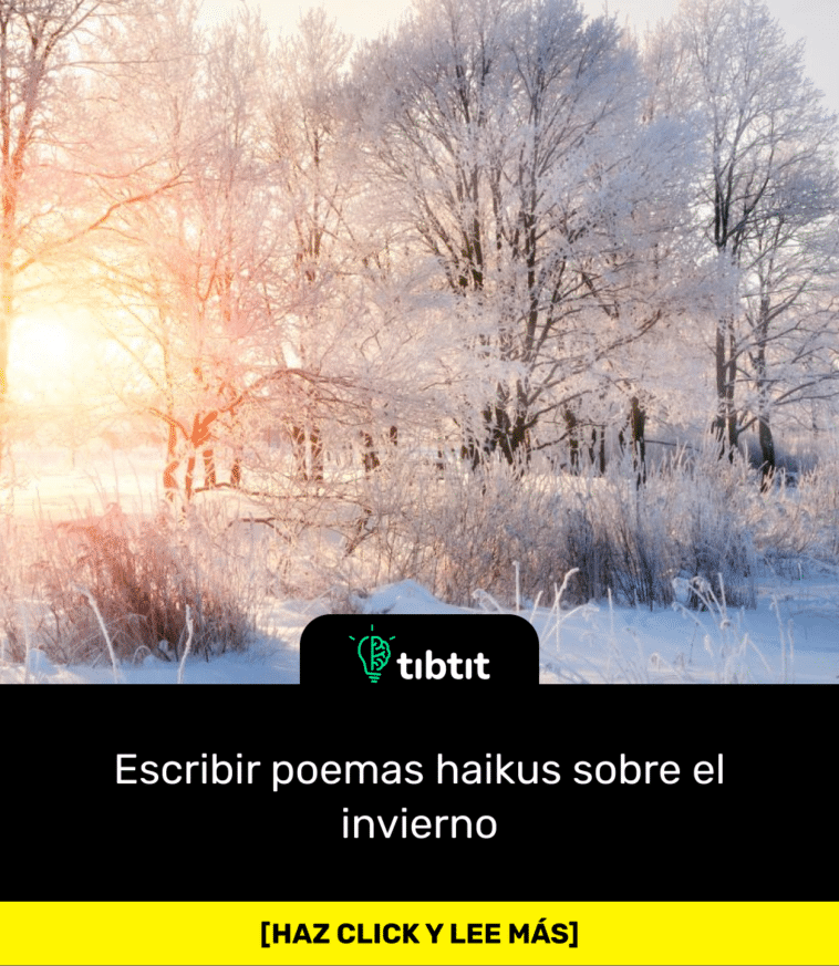 Escribir poemas haikus sobre el invierno