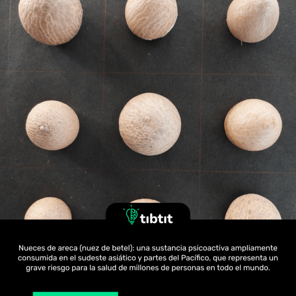 Nueces de areca (nuez de betel): una sustancia psicoactiva ampliamente consumida en el sudeste asiático y partes del Pacífico, que representa un grave riesgo para la salud de millones de personas en todo el mundo.