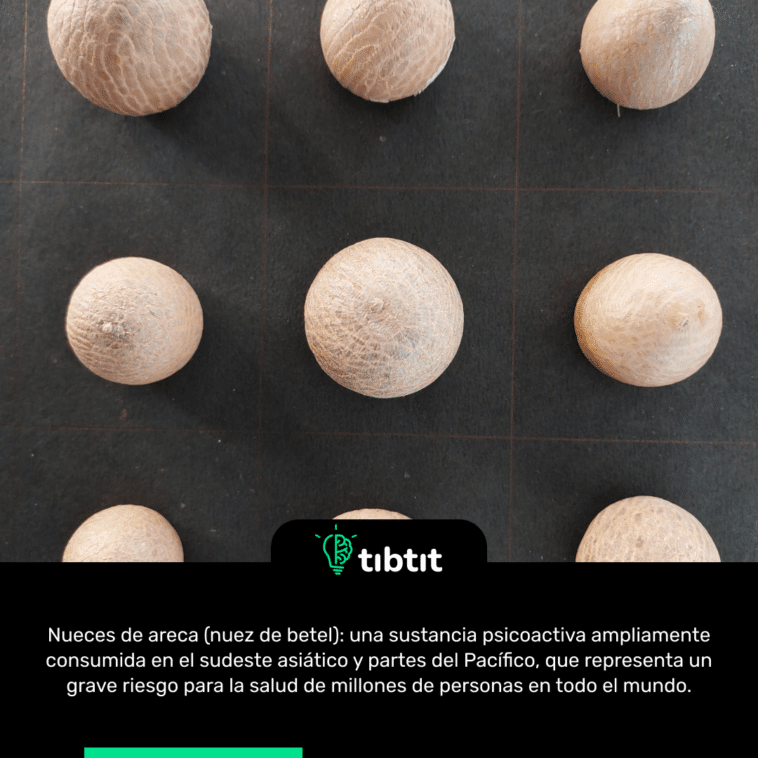 Nueces de areca (nuez de betel): una sustancia psicoactiva ampliamente consumida en el sudeste asiático y partes del Pacífico, que representa un grave riesgo para la salud de millones de personas en todo el mundo.