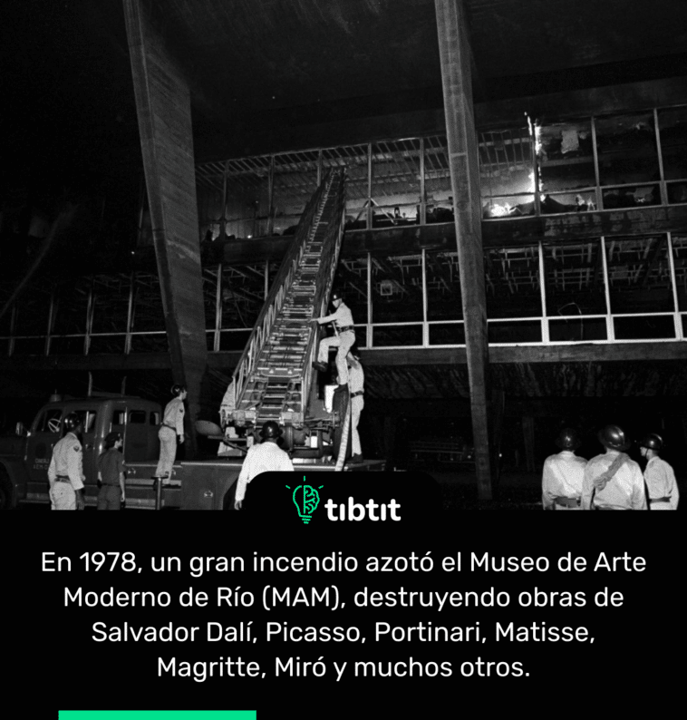 En 1978, un gran incendio azotó el Museo de Arte Moderno de Río (MAM), destruyendo obras de Salvador Dalí, Picasso, Portinari, Matisse, Magritte, Miró y muchos otros.