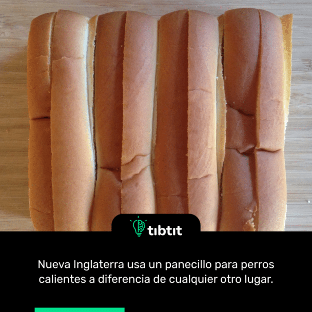 Nueva Inglaterra usa un panecillo para perros calientes a diferencia de cualquier otro lugar.