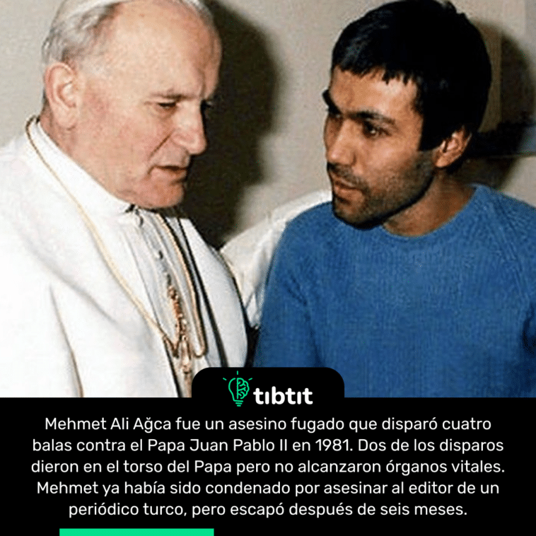 Mehmet Ali Ağca fue un asesino fugado que disparó cuatro balas contra el Papa Juan Pablo II en 1981. Dos de los disparos dieron en el torso del Papa pero no alcanzaron órganos vitales. Mehmet ya había sido condenado por asesinar al editor de un periódico turco, pero escapó después de seis meses.