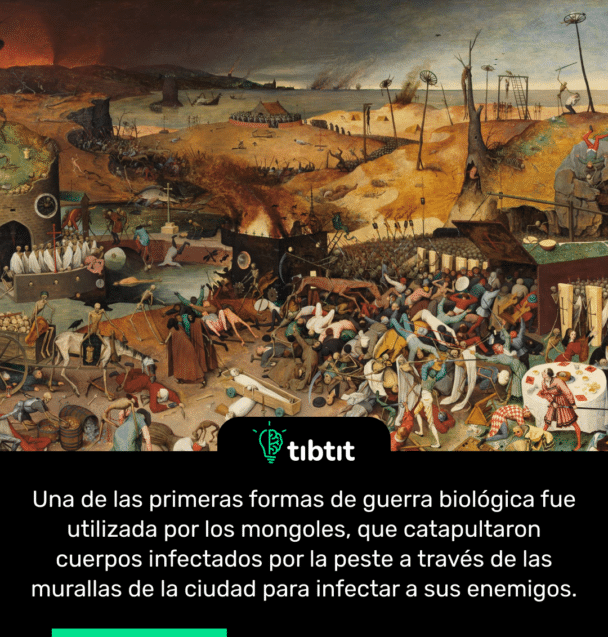 Una de las primeras formas de guerra biológica fue utilizada por los mongoles, que catapultaron cuerpos infectados por la peste a través de las murallas de la ciudad para infectar a sus enemigos.