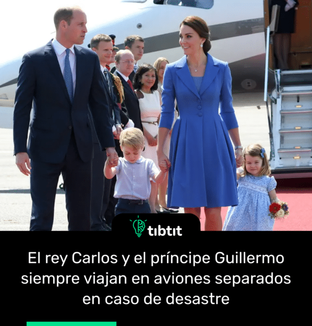 El rey Carlos y el príncipe Guillermo siempre viajan en aviones separados en caso de desastre
