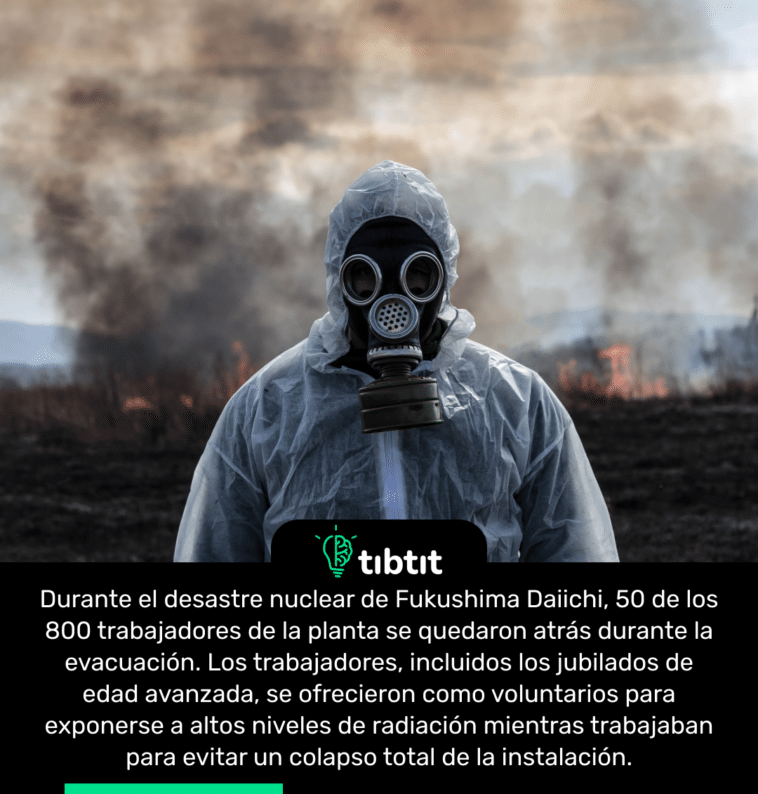 Durante el desastre nuclear de Fukushima Daiichi, 50 de los 800 trabajadores de la planta se quedaron atrás durante la evacuación. Los trabajadores, incluidos los jubilados de edad avanzada, se ofrecieron como voluntarios para exponerse a altos niveles de radiación mientras trabajaban para evitar un colapso total de la instalación.