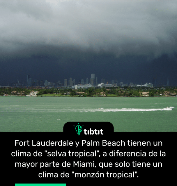 Fort Lauderdale y Palm Beach tienen un clima de "selva tropical", a diferencia de la mayor parte de Miami, que solo tiene un clima de "monzón tropical".
