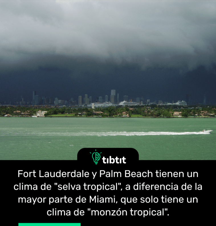 Fort Lauderdale y Palm Beach tienen un clima de "selva tropical", a diferencia de la mayor parte de Miami, que solo tiene un clima de "monzón tropical".