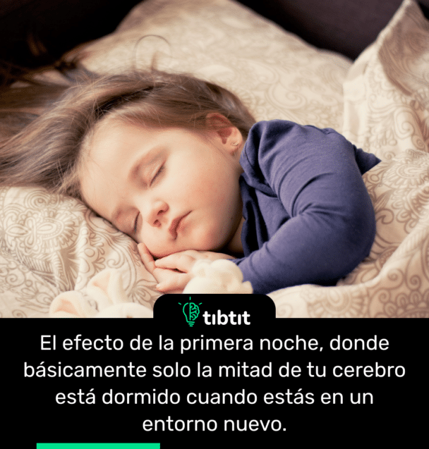 El efecto de la primera noche, donde básicamente solo la mitad de tu cerebro está dormido cuando estás en un entorno nuevo.