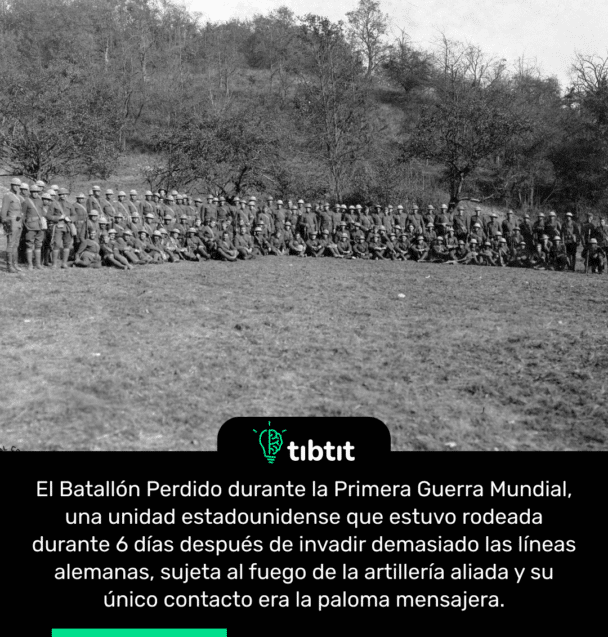 El Batallón Perdido durante la Primera Guerra Mundial, una unidad estadounidense que estuvo rodeada durante 6 días después de invadir demasiado las líneas alemanas, sujeta al fuego de la artillería aliada y su único contacto era la paloma mensajera.