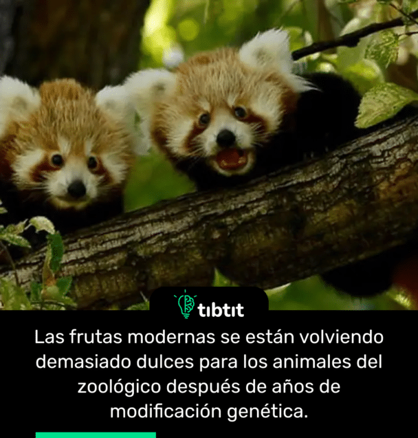 Las frutas modernas se están volviendo demasiado dulces para los animales del zoológico después de años de modificación genética.