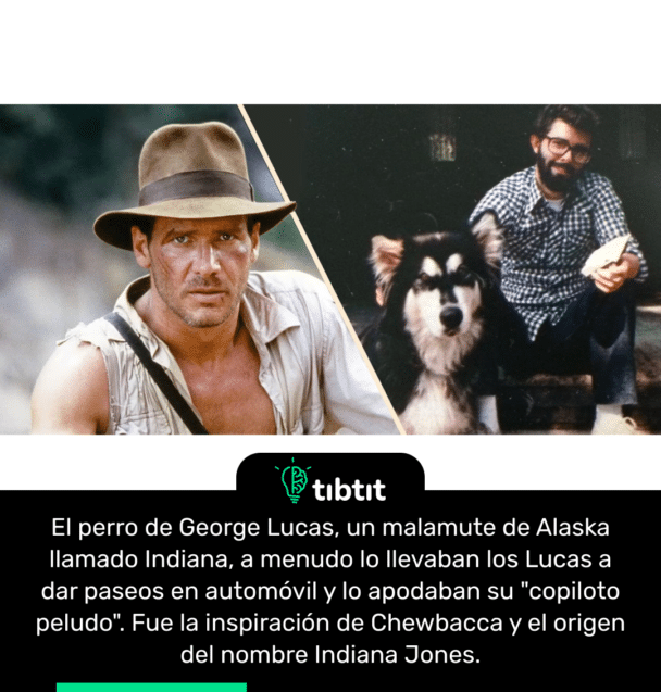 El perro de George Lucas, un malamute de Alaska llamado Indiana, a menudo lo llevaban los Lucas a dar paseos en automóvil y lo apodaban su "copiloto peludo". Fue la inspiración de Chewbacca y el origen del nombre Indiana Jones.