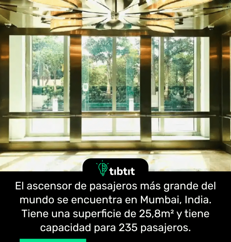 El ascensor de pasajeros más grande del mundo se encuentra en Mumbai, India. Tiene una superficie de 25,8m² y tiene capacidad para 235 pasajeros.