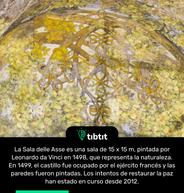 La Sala delle Asse es una sala de 15 x 15 m, pintada por Leonardo da Vinci en 1498, que representa la naturaleza. En 1499, el castillo fue ocupado por el ejército francés y las paredes fueron pintadas. Los intentos de restaurar la paz han estado en curso desde 2012.