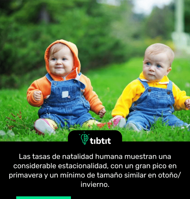 Las tasas de natalidad humana muestran una considerable estacionalidad, con un gran pico en primavera y un mínimo de tamaño similar en otoño/invierno.