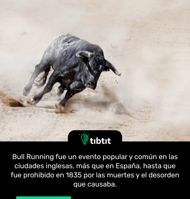 Bull Running fue un evento popular y común en las ciudades inglesas, más que en España, hasta que fue prohibido en 1835 por las muertes y el desorden que causaba.