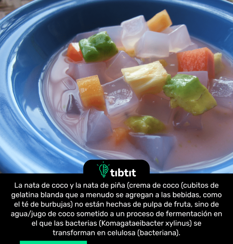 La nata de coco y la nata de piña (crema de coco (cubitos de gelatina blanda que a menudo se agregan a las bebidas, como el té de burbujas) no están hechas de pulpa de fruta, sino de agua/jugo de coco sometido a un proceso de fermentación en el que las bacterias (Komagataeibacter xylinus) se transforman en celulosa (bacteriana).