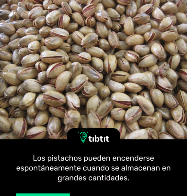 Los pistachos pueden encenderse espontáneamente cuando se almacenan en grandes cantidades.