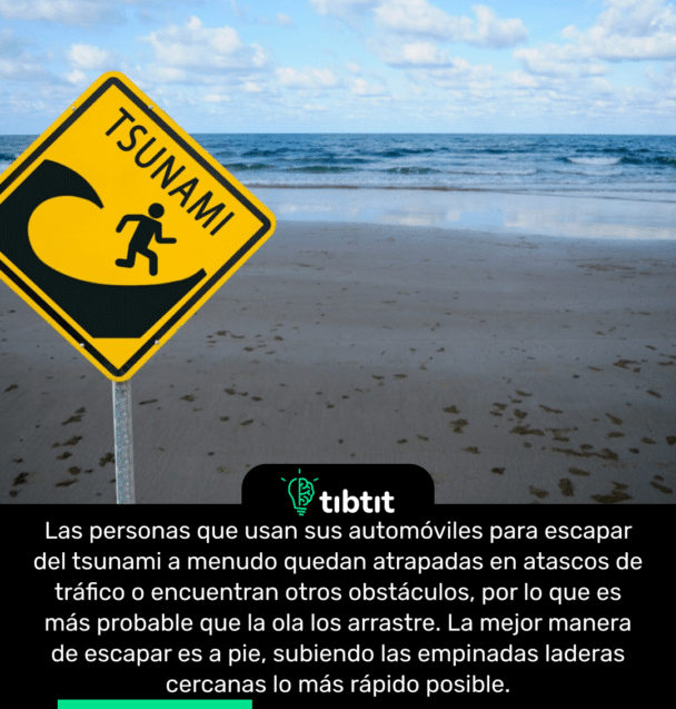 Las personas que usan sus automóviles para escapar del tsunami a menudo quedan atrapadas en atascos de tráfico o encuentran otros obstáculos, por lo que es más probable que la ola los arrastre. La mejor manera de escapar es a pie, subiendo las empinadas laderas cercanas lo más rápido posible.
