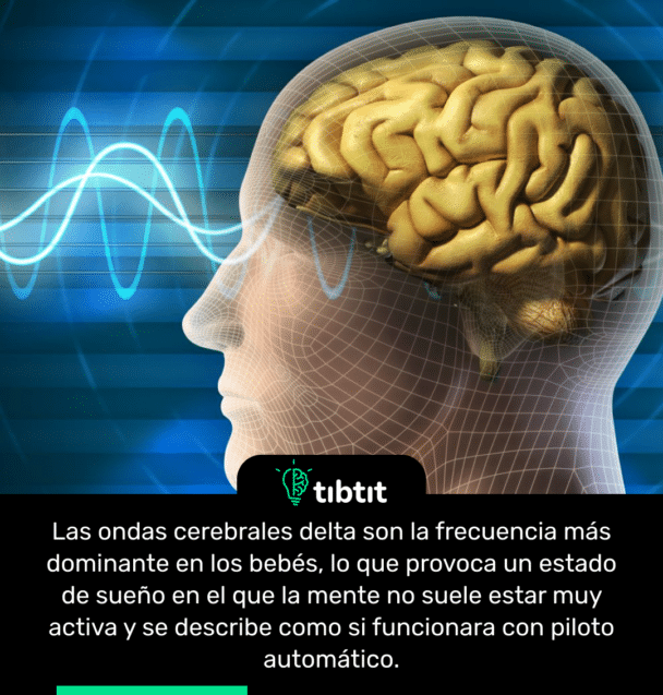 Las ondas cerebrales delta son la frecuencia más dominante en los bebés, lo que provoca un estado de sueño en el que la mente no suele estar muy activa y se describe como si funcionara con piloto automático.