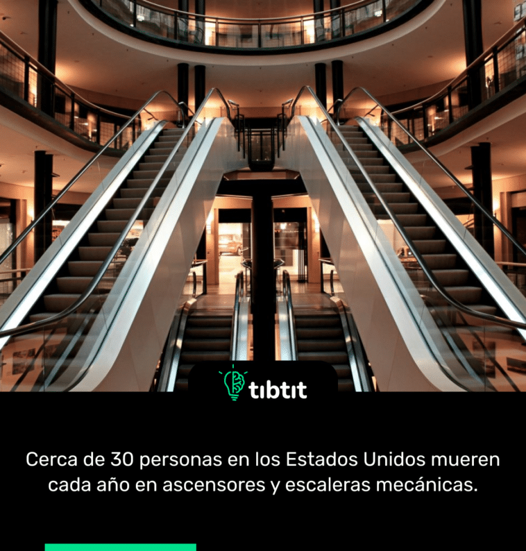Cerca de 30 personas en los Estados Unidos mueren cada año en ascensores y escaleras mecánicas.