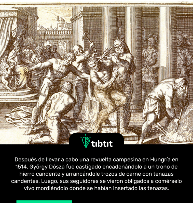 Después de llevar a cabo una revuelta campesina en Hungría en 1514, György Dósza fue castigado encadenándolo a un trono de hierro candente y arrancándole trozos de carne con tenazas candentes. Luego, sus seguidores se vieron obligados a comérselo vivo mordiéndolo donde se habían insertado las tenazas.